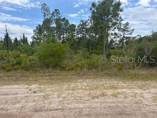 Each parcel in Indian Lake Estates has unique characteristics and deserves its own description. Put your 4WD in gear! This unfinished road makes coming home just a little more fun for everyone. The roads are paved to this home, except for the last 50 feet. This lot requires a septic tank, and the electric pole is two lots down from this parcel. You will have a choice of private well, community water, or both. The lot is centrally located five minutes from the clubhouse and seven minutes from the fishing pier. The roads are privately maintained, so take your golf cart to play a round of golf, meet friends at the clubhouse restaurant or to play a game of pool, or watch the sun set over the largest lake in Polk County, Lake Weohyakapka. Your future home would be located a mile from the public golf course and the community clubhouse, which offers tennis and pickleball courts, two playgrounds, a driving range, a putting green, a game room, and a restaurant open 7 days a week. Residents also have access to the fishing pier, the waterfront pavilion, the marina (fees apply), and the community boat access, just a few miles away in the most Western part of the community. An additional restaurant is available in the commercial area of the neighborhood, along with the storage facility. Take a drive out and experience the perfect blend of activity and privacy in Indian Lake Estates, a deed restricted community.

Indian Lake Estates (ILE) is 17 miles from Lake Wales, and a little over an hour to Orlando, Vero Beach, and Tampa for airports, cruise ports, or attractions. As you begin to plan your future in Florida, consider living a serene and private life in this neighborhood of Indian Lake Estates. The active community offers concerts, karaoke and trivia nights, weekly card and domino games, bingo, movie nights, a book club, PLUS basketball, pickleball and tennis courts, just to name a few.