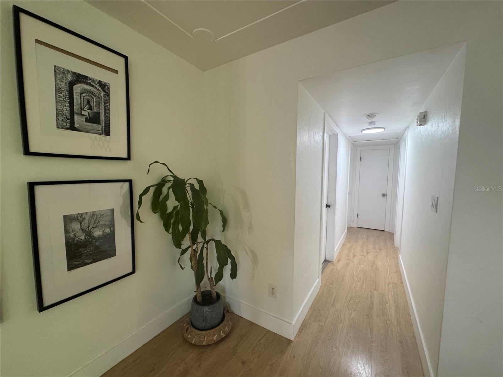TEMPLE TERRACE ESTATES - Residential