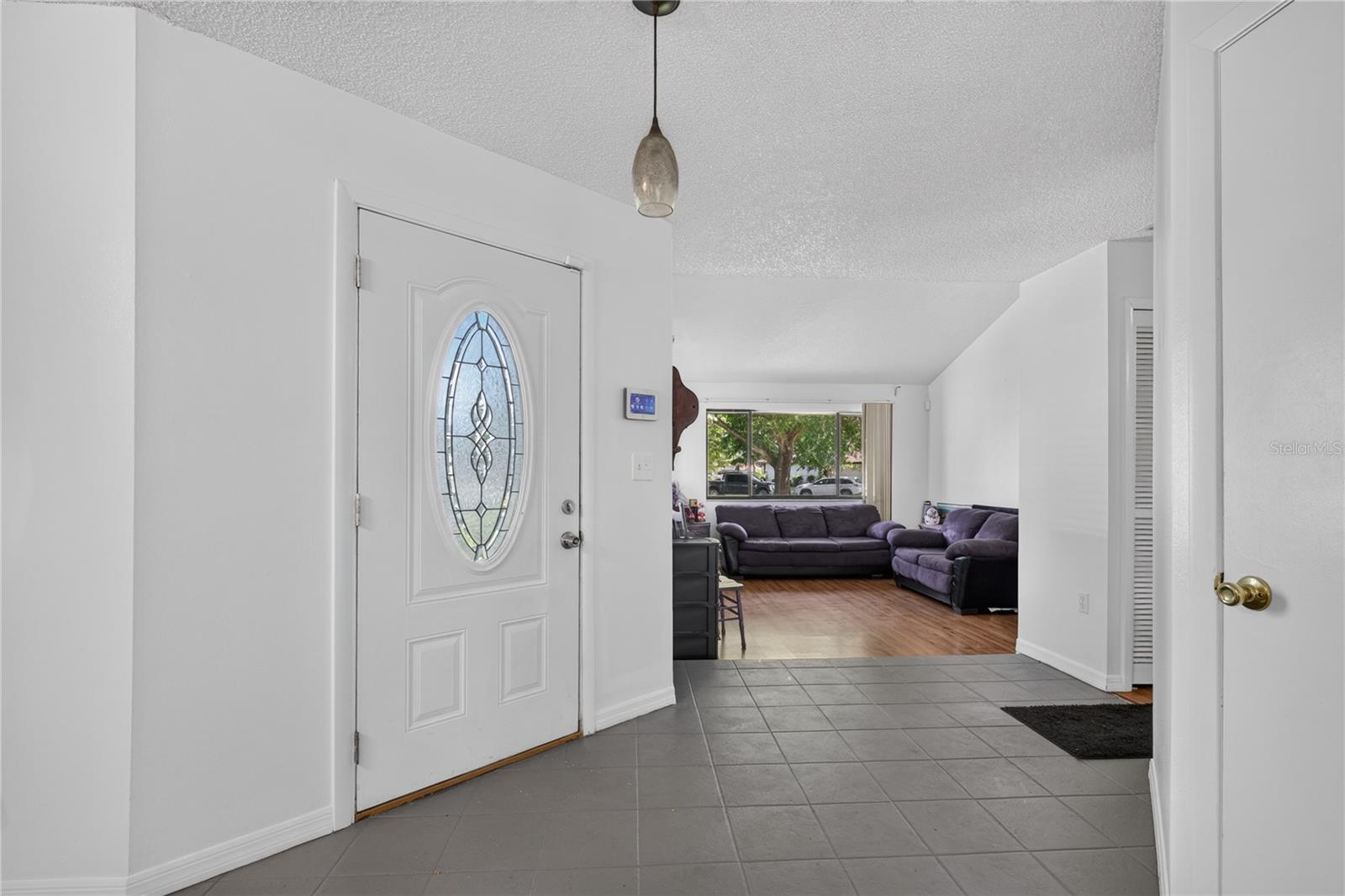 MOUNT DORA VILLAGE GROVE UNIT 01 - Residential