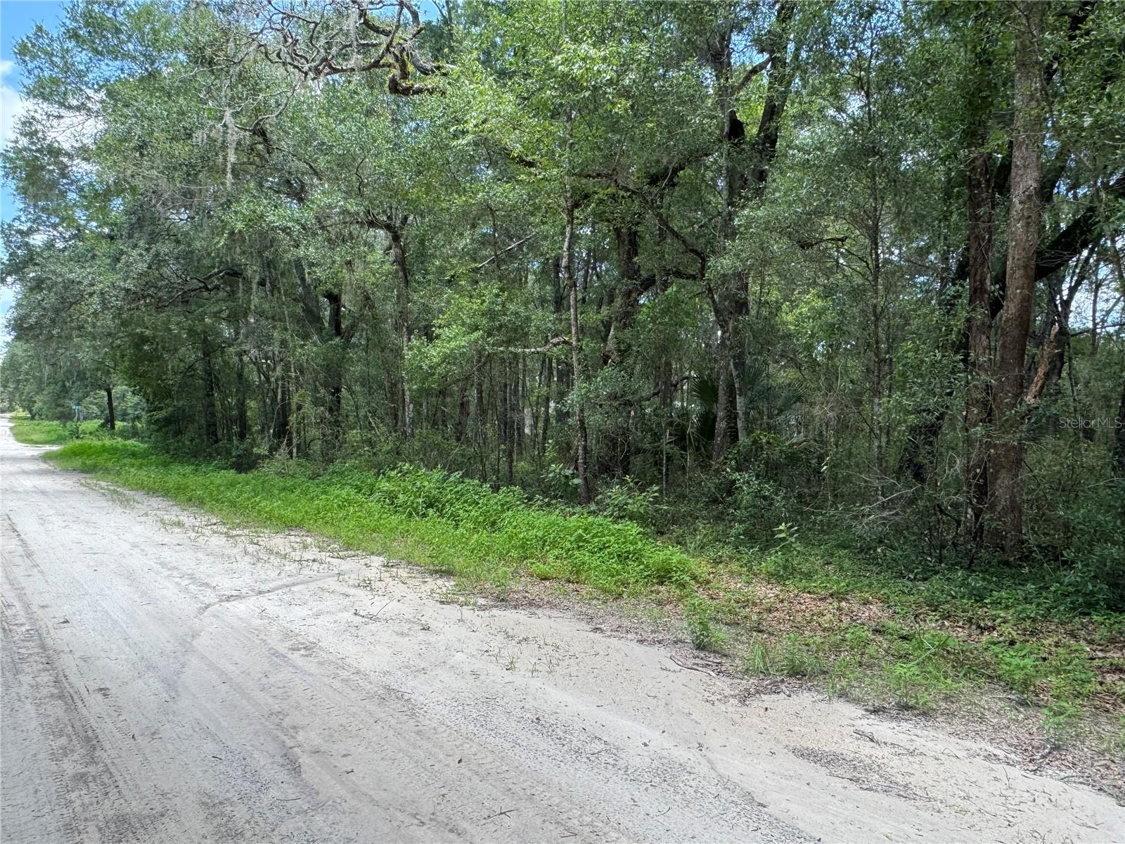 Rolling Ranch Estates! Looking for a larger lot to build your dream home and bring your vision to reality?  This 1.42 +/- acres has road frontage on 3 sides and is located just 1 block off the paved SW 140th Ave and close to Hwy 484. Can be divided or left as an oversized lot for privacy, your choice! Just 5 miles to Walmart, restaurants and shopping. Property is located close to the Florida Greenways and Trails and the Dunnellon Airport. Property is currently wooded with some stunning old live oaks so you can clear the number of trees you would like and still maintain the privacy.