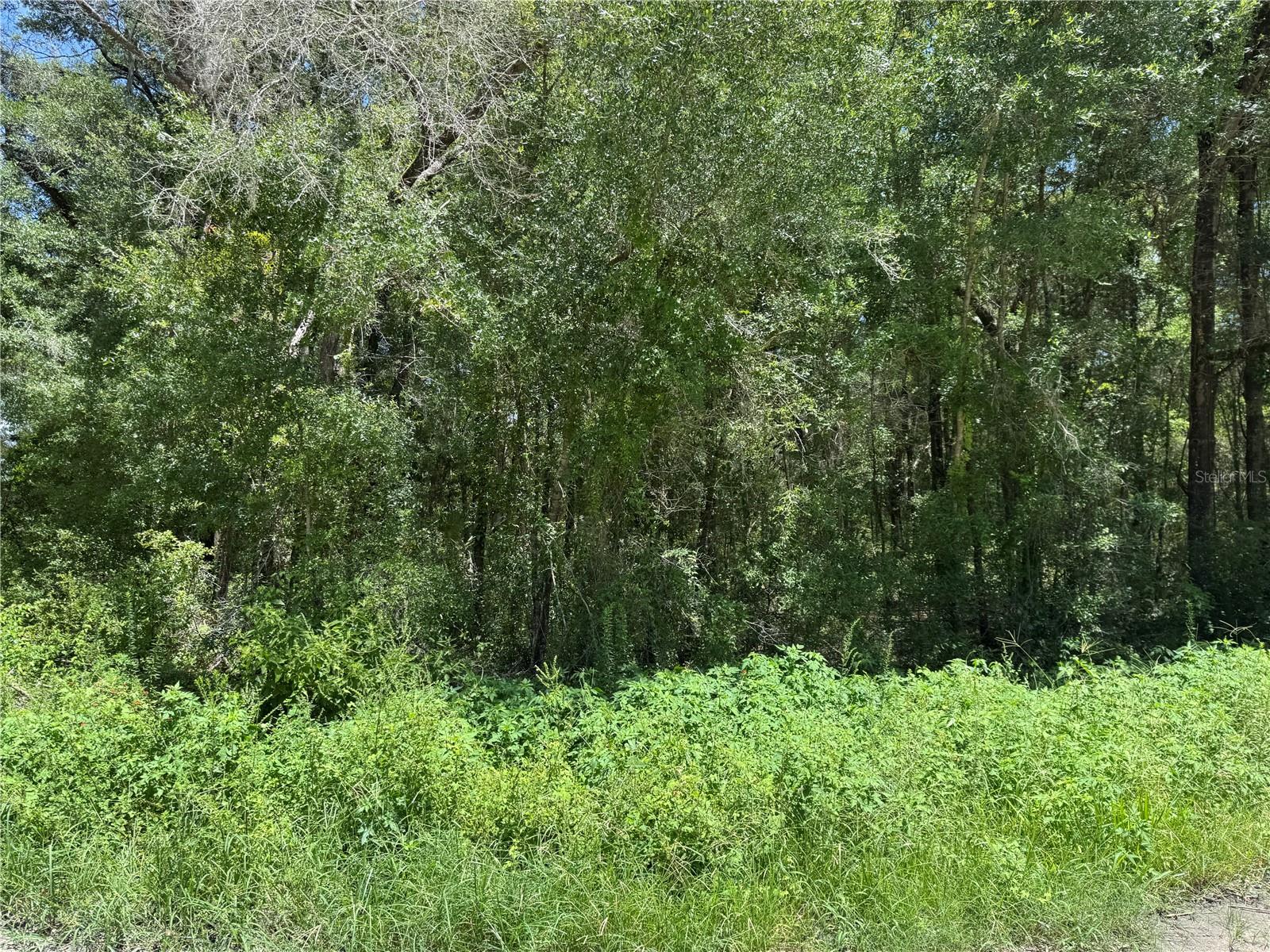 ROLLING RANCH ESTATE - Land