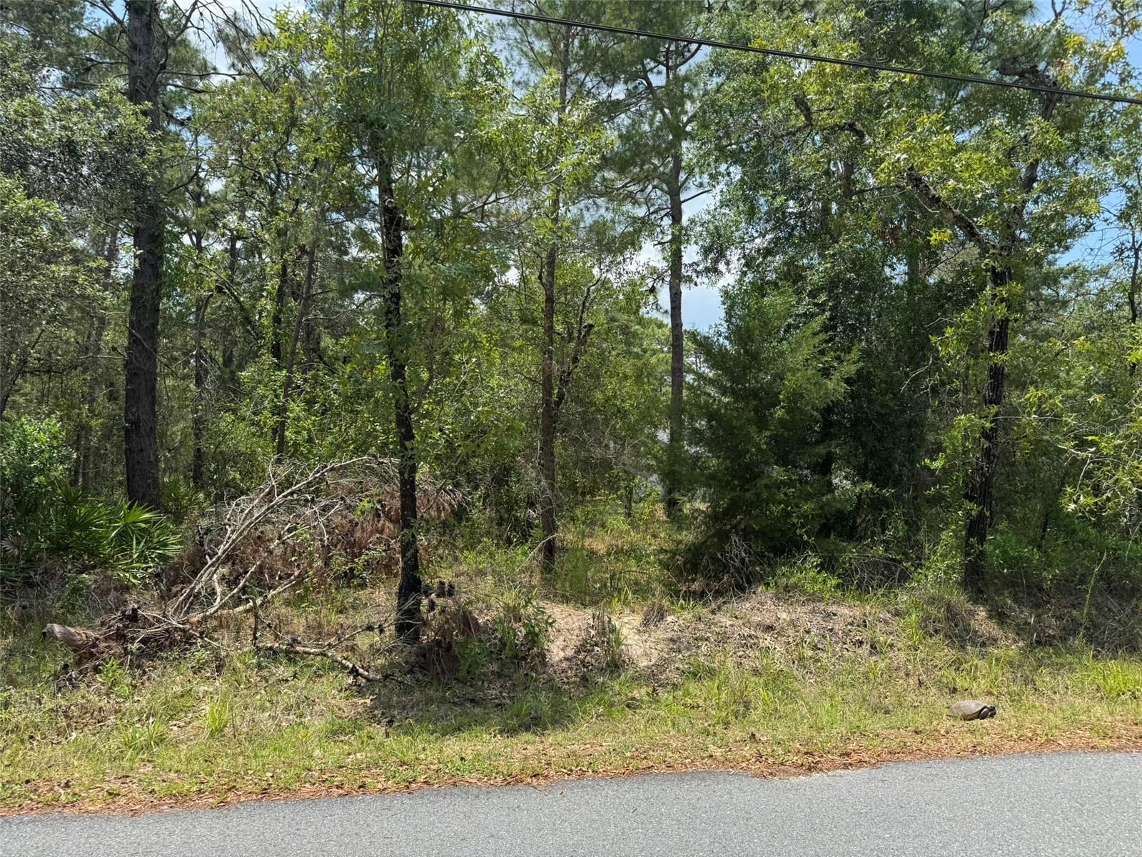 Discover the perfect canvas for your dream home in the highly desirable Evans Lakeside Heights. This exceptional 1.80-acre parcel offers a rare combination of serenity and convenience, nestled in a peaceful neighborhood while being just minutes from shopping centers, dining, and some of Florida’s most beloved natural attractions—including Weeki Wachee Springs, Homosassa Springs, and Crystal River. Whether you're looking to build a private retreat or an investment property, this lot offers unmatched potential in a prime location. Don’t miss this incredible opportunity to create something special!