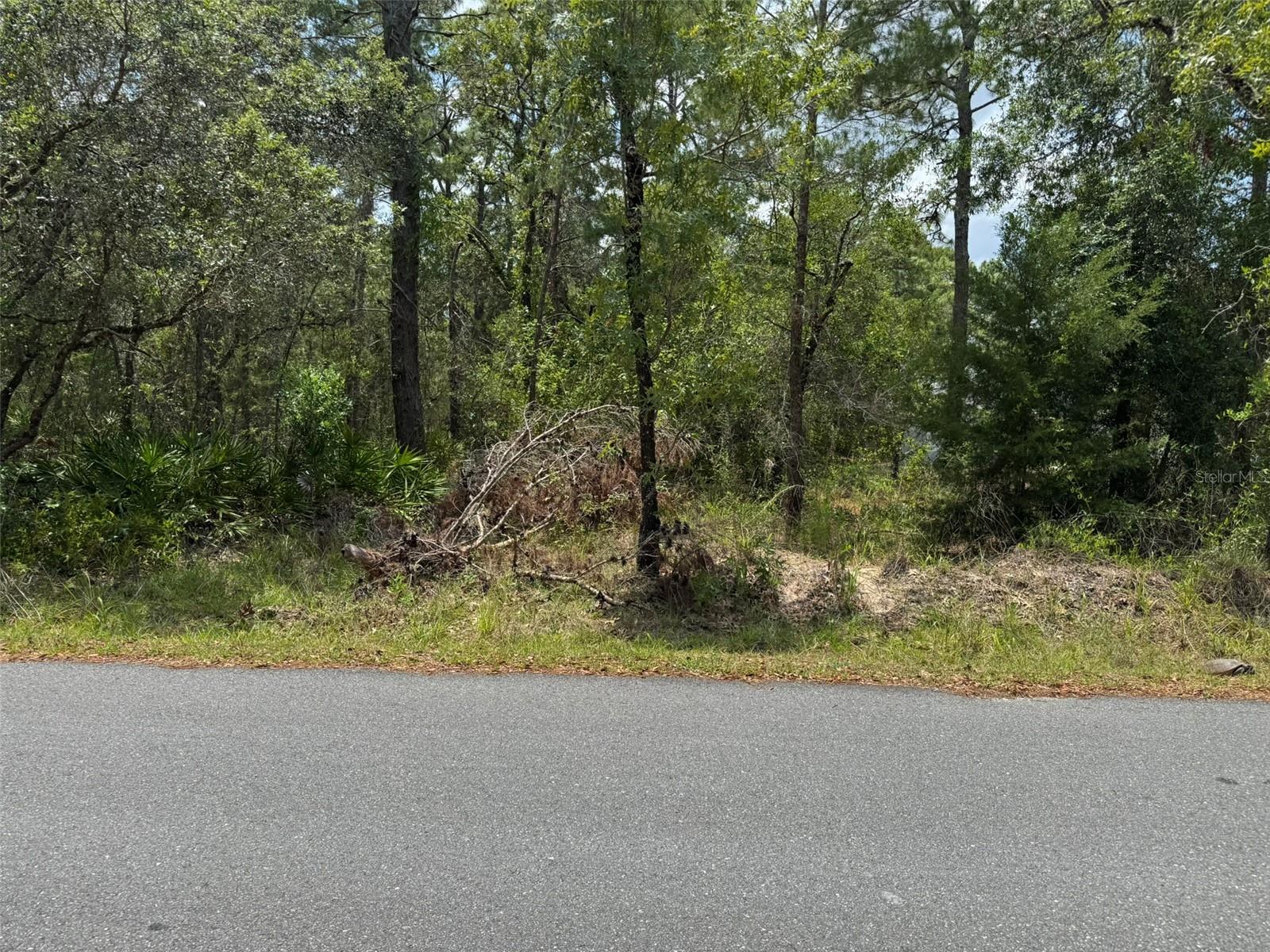 EVANS LAKESIDE HEIGHTS - Land
