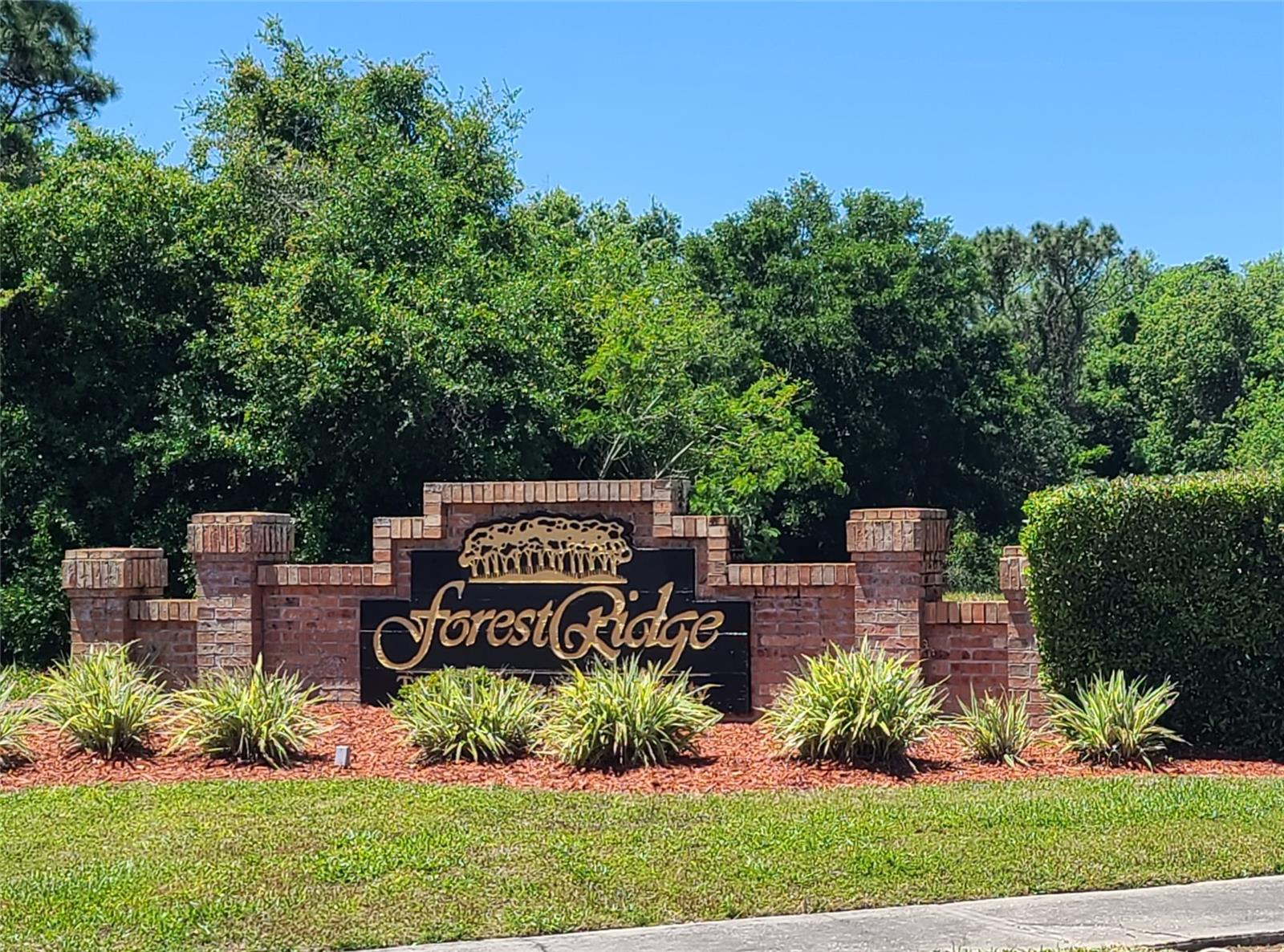 FOREST RIDGE PH ONE - Land