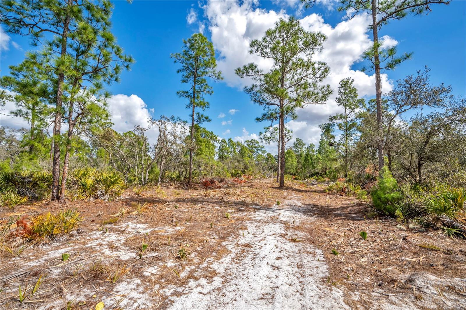SEBRING LAKES ACRES - Land
