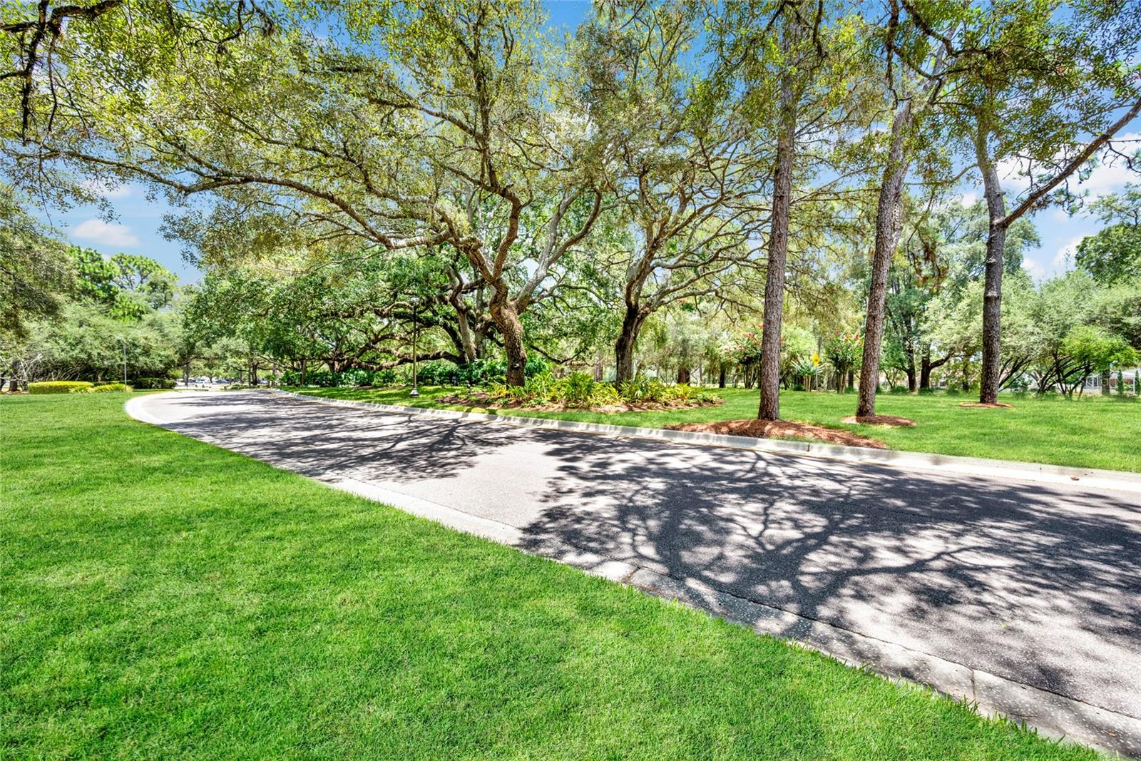 SILVERTHORN PH 1 - Residential