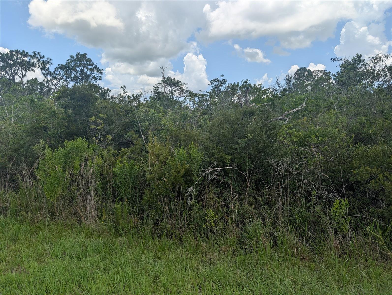 INDIAN LAKE ESTATES - Land