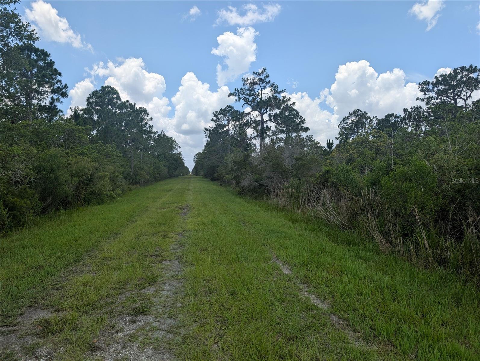 INDIAN LAKE ESTATES - Land