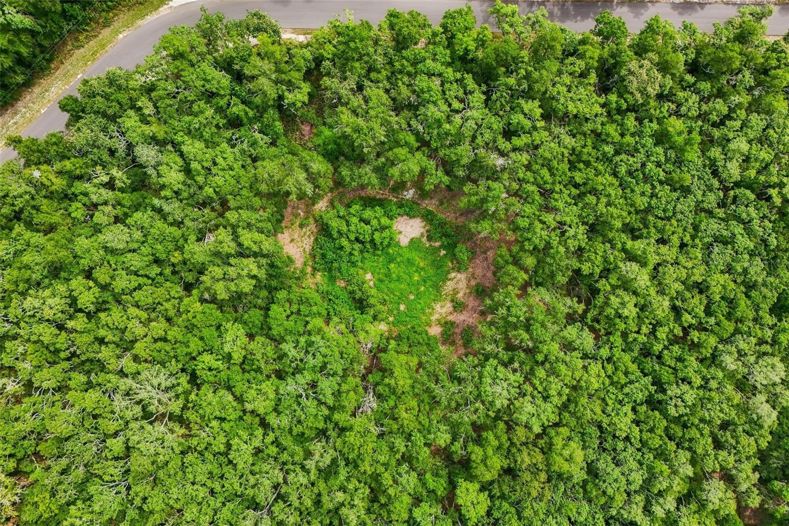RIDGE MANOR ESTATE - Land