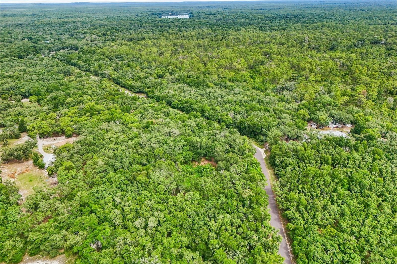 RIDGE MANOR ESTATE - Land