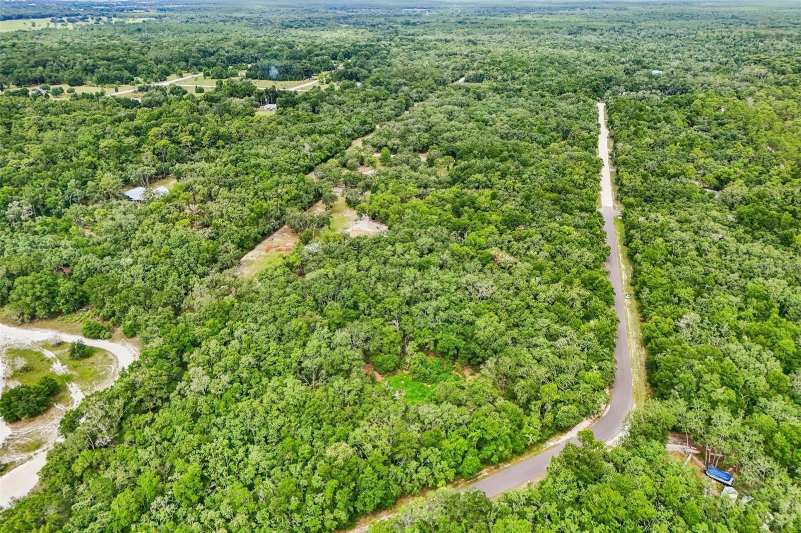 RIDGE MANOR ESTATE - Land