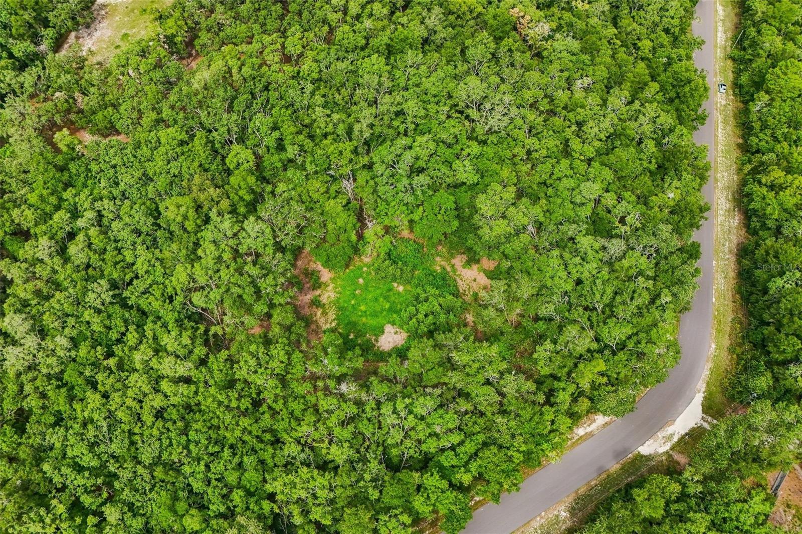 RIDGE MANOR ESTATE - Land