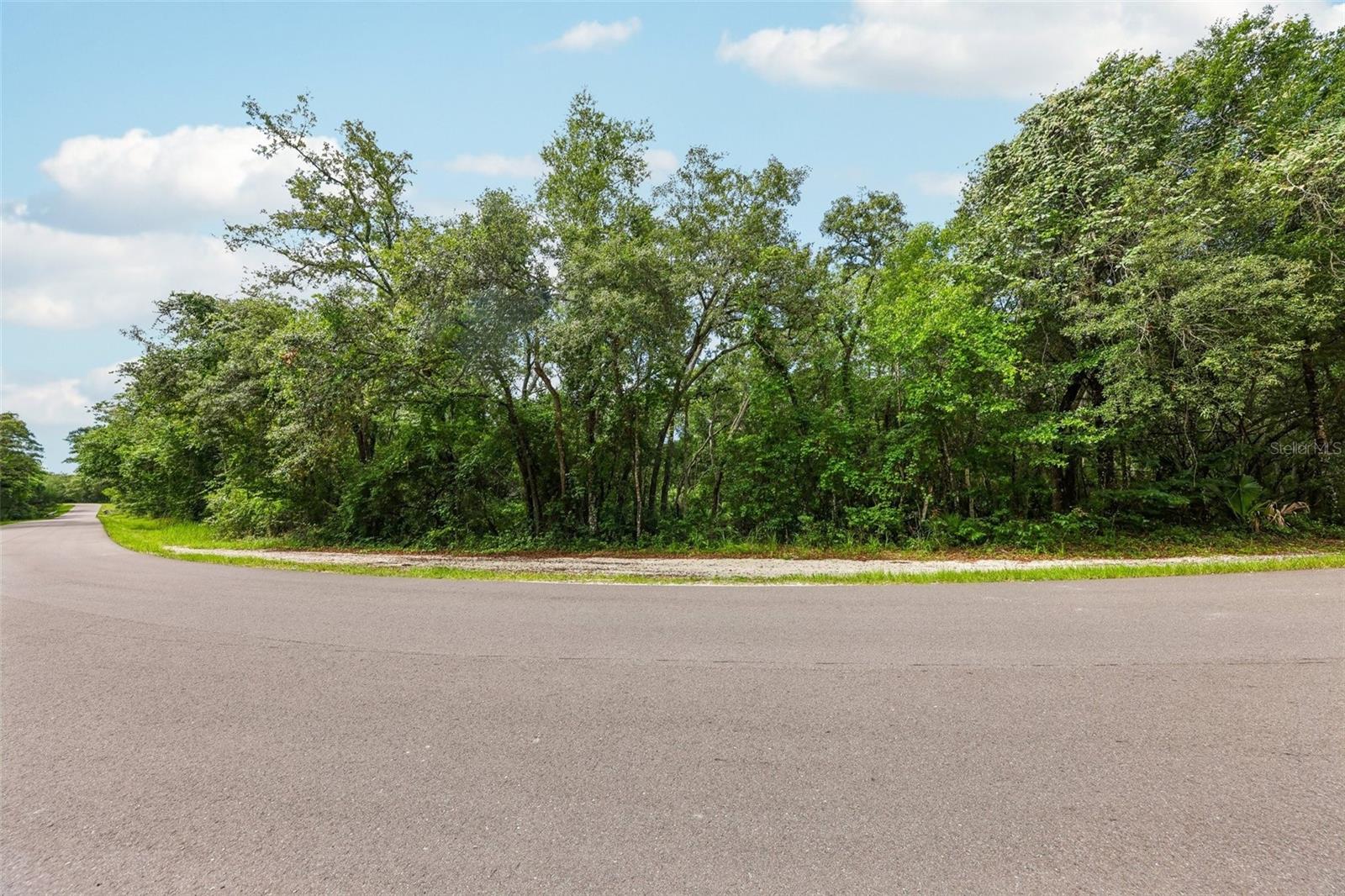 Build your dream home on this beautiful 3.09 acre homesite located in the rural community of Ridge Manor Estates on the east side of Hernando County. Situated on a paved road and zoned R-2, this property offers the perfect blend of peaceful country living and convenient access to everyday amenities, including shopping, restaurants, and recreational activities. Surrounded by natural beauty, this area is a paradise for outdoor enthusiasts. Located just a short drive from the Withlacoochee River and the Withlacoochee State Forest, you will have easy access to mountain biking, canoeing, camping, hiking, walking trails, wildlife management areas, and endless opportunities to explore Florida’s Nature Coast. Enjoy the charm of a rural community surrounded by forest land while still being within reach of the Gulf of Mexico, where you can swim and play with the manatees and mermaids. Whether you enjoy boating, fishing, kayaking, or simply spending time outdoors, the possibilities here are endless. Conveniently located for commuters, this property offers an easy drive to Orlando, Tampa, and Ocala. No HOA and plenty of room to create your own private retreat.