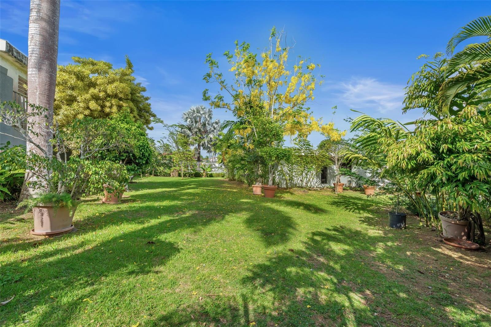 URB PARQUE FORESTAL - Residential
