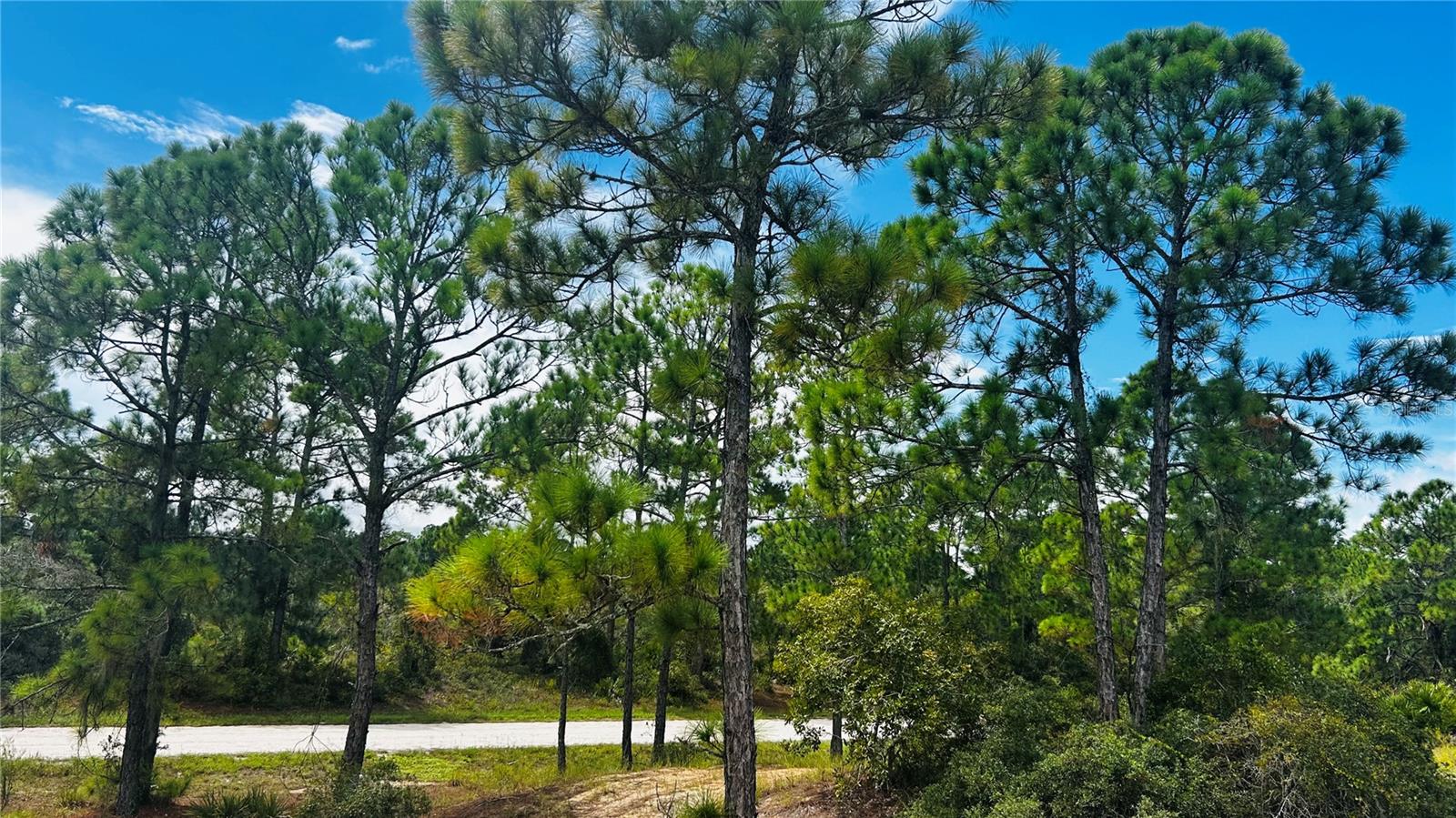Excellent opportunity to own a residential lot in the growing community of Lake Placid, Florida. This area continues to attract attention for its steady development, affordability, and peaceful lifestyle, making it ideal for building a primary residence, vacation home, or investment property.

Conveniently located near US-27, this property offers easy access to nearby cities such as Sebring, as well as shopping, dining, schools, and everyday conveniences. Lake Placid is known as the “Town of Murals” and features a charming downtown with local shops, restaurants, and community events, along with over 27 freshwater lakes perfect for boating, fishing, and outdoor recreation. 

Whether you’re looking to build now or hold for future appreciation, this lot offers great potential in a quiet yet increasingly sought-after area of Central Florida.