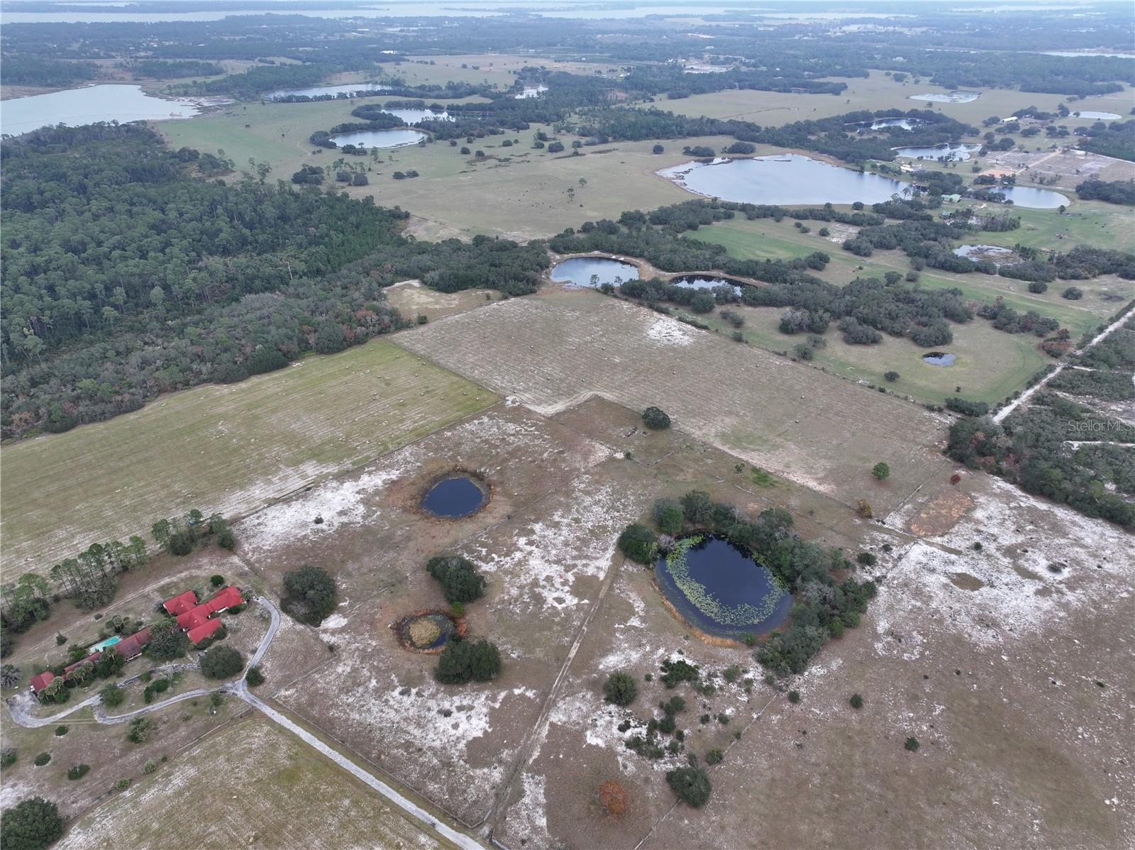 CITRUS FARMS - Land