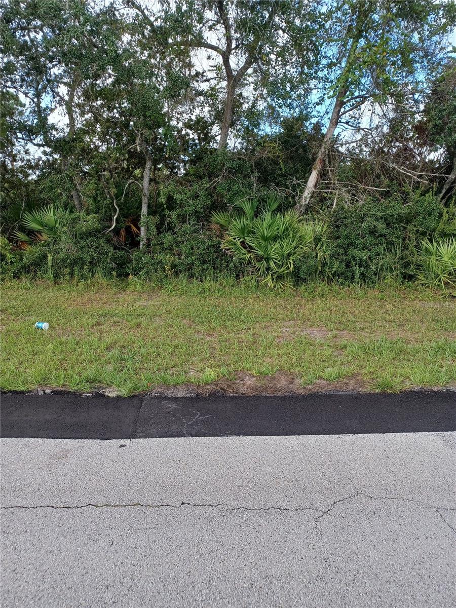 Oversized lot on small lake with view. Lot has potential for a very large home. Located on sizeable Lake Elston with boat access.