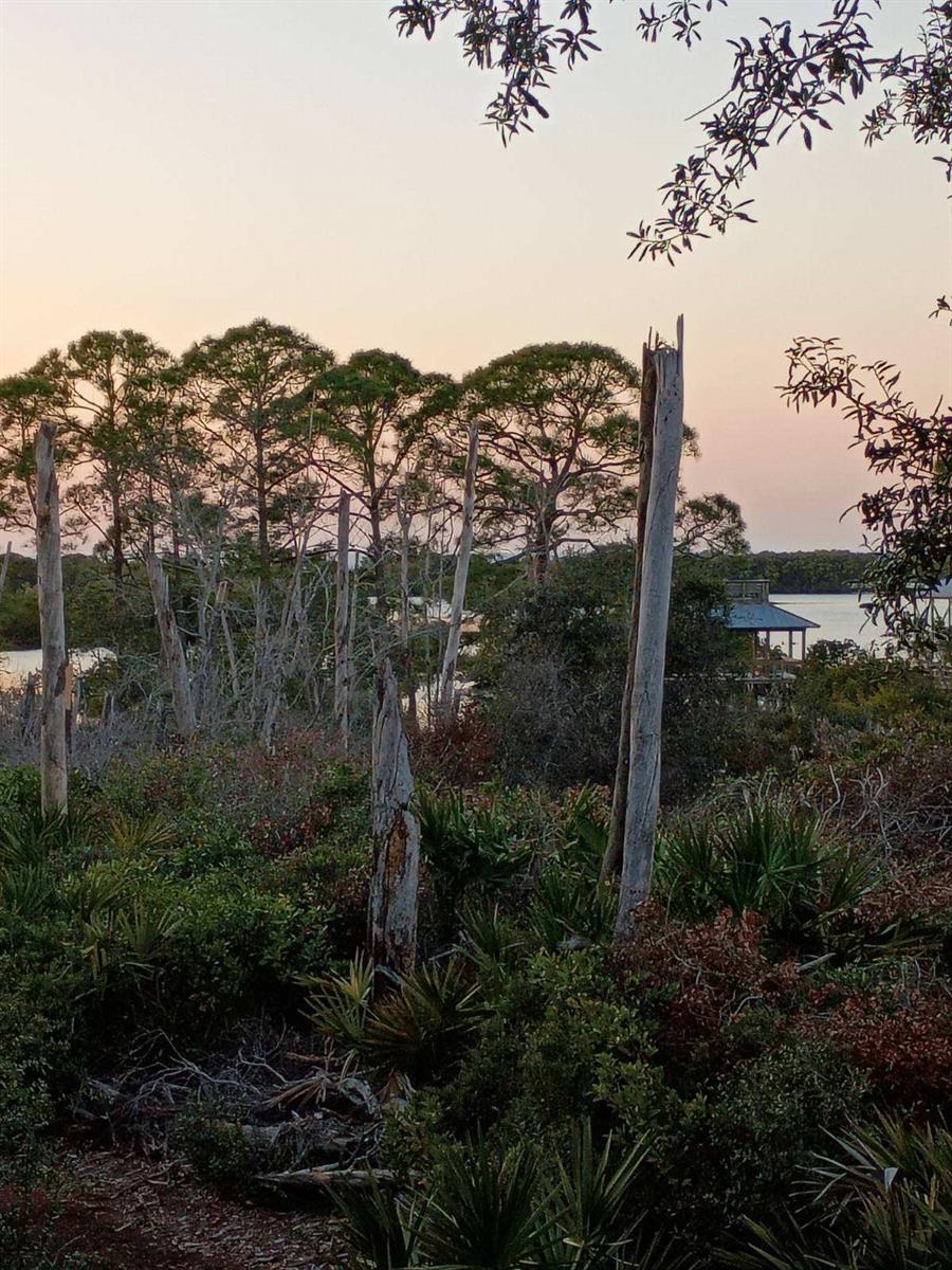 CEDAR KEY SHORES #5 - Residential