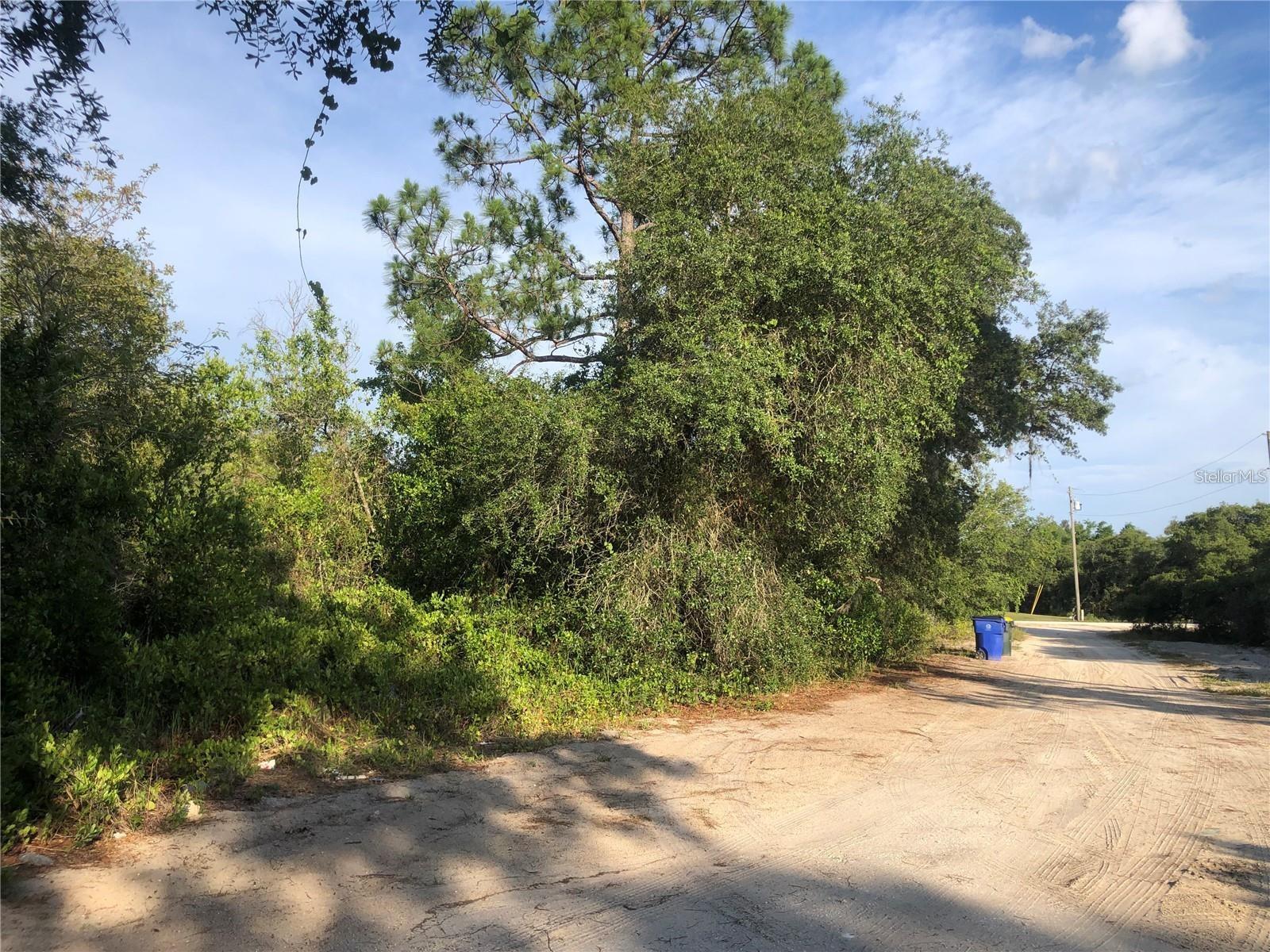 Beautiful Lot in AVON PARK LAKES...Looking for a place to build your dream home?...This spacious over half-acre lot offers plenty of room for your custom home, with a large patio, and more. Enjoy the peaceful surroundings of Avon Park Lakes with no HOA. Located just minutes from the Lake Adelaide boat ramp, you can easily enjoy boating, fishing, and water activities year-round. Electricity is nearby; well and septic will be required. Each buyer is responsible for conducting their own due diligence and verifying all information, including ordering a survey to confirm that the property meets their intended use. Don't miss your chance to own a beautiful piece of Florida landd...Schedule your visit today!
