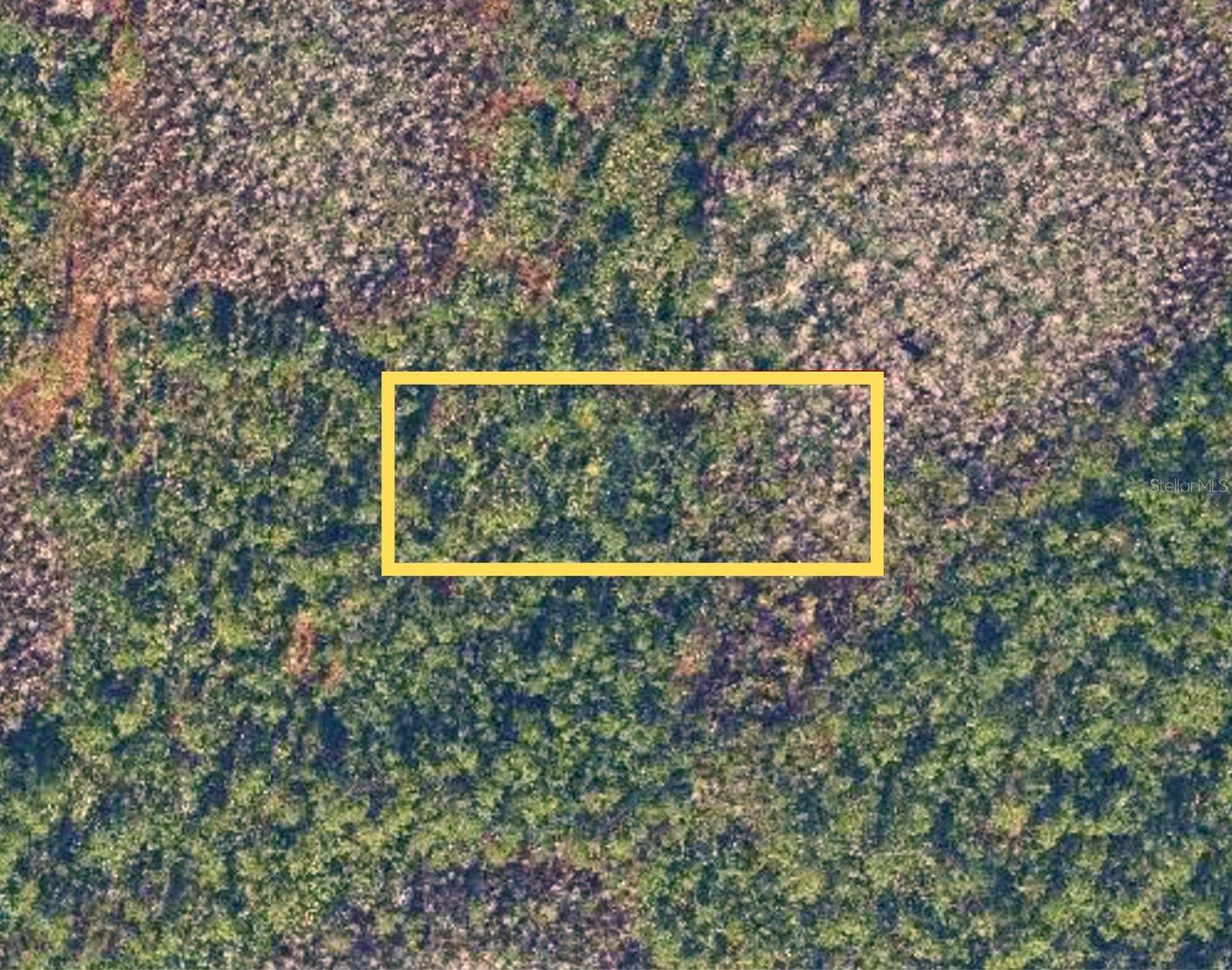 Space, privacy, and possibility—this 1.06-acre parcel in Christmas, FL is for those looking to step outside the ordinary and into a more self-directed way of living. Zoned A-2 (Agricultural), this property opens the door to a range of uses, from recreational land and hunting to small-scale farming or a future rural homesite.

Surrounded by natural Florida landscape, this lot offers a quiet, back-to-basics setting where you can unplug, explore, and create your own version of outdoor living. Whether it’s a weekend escape, a place to enjoy wildlife, or a long-term investment in land, this property gives you the space to make it happen.

While it feels tucked away, you’re still within a reasonable drive to Orlando and major roadways, making it accessible without sacrificing the peace and seclusion that define the area.

If you’ve been searching for land with fewer limits and more freedom, this is your opportunity to claim your own piece of Florida and shape it into something meaningful.