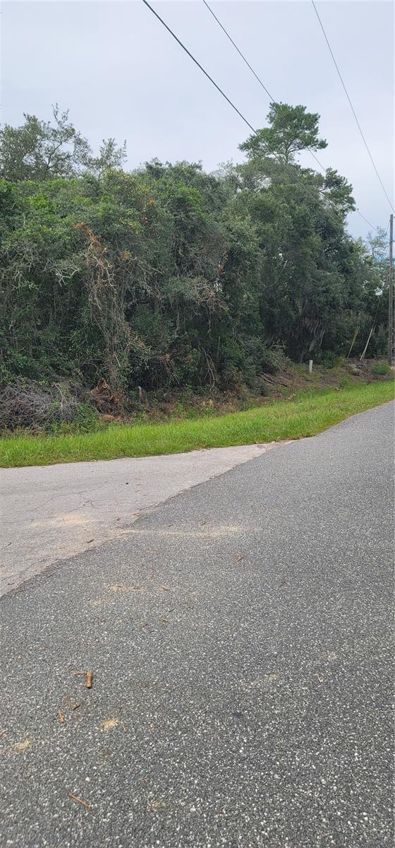 Buildable Lot Corner lot on Cul De Sac Build Your dream House here o.29 over sized Lot