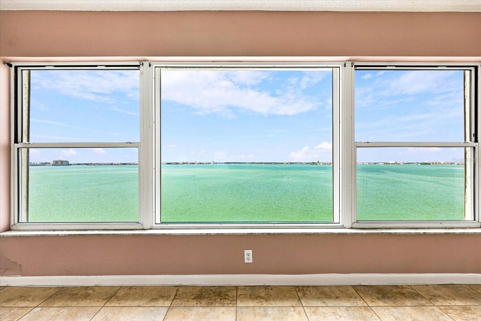 TOWN SHORES OF GULFPORT - Residential