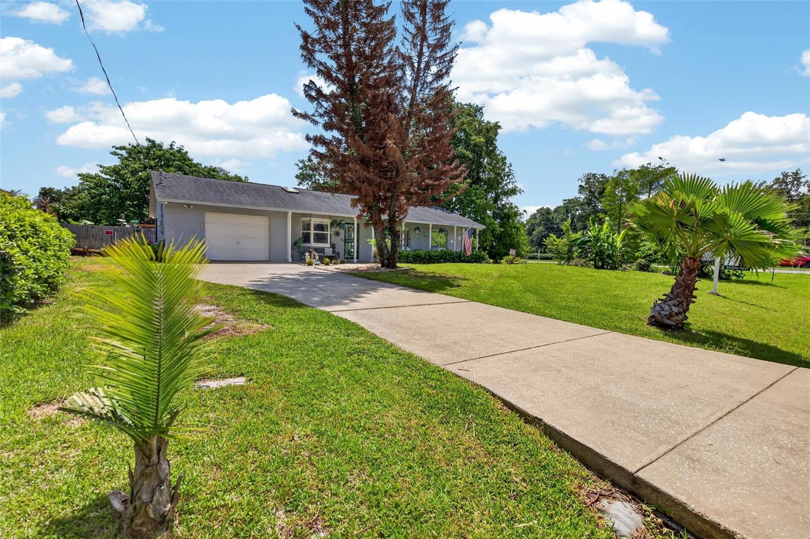 SHOTWELLS JUNGLE GARDEN - Residential
