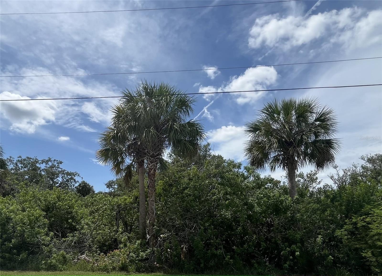 PRICE UPDATED! Send your offers in! Nestled within the desirable and serene Martha's Vineyard subdivision in Port Richey, this .60 acre lot (26,350 Sq. Ft.) could be yours today! One of the few remaining lots in the area! Conveniently located near shopping, dining and entertainment, which makes it perfect for you to build your dream home.