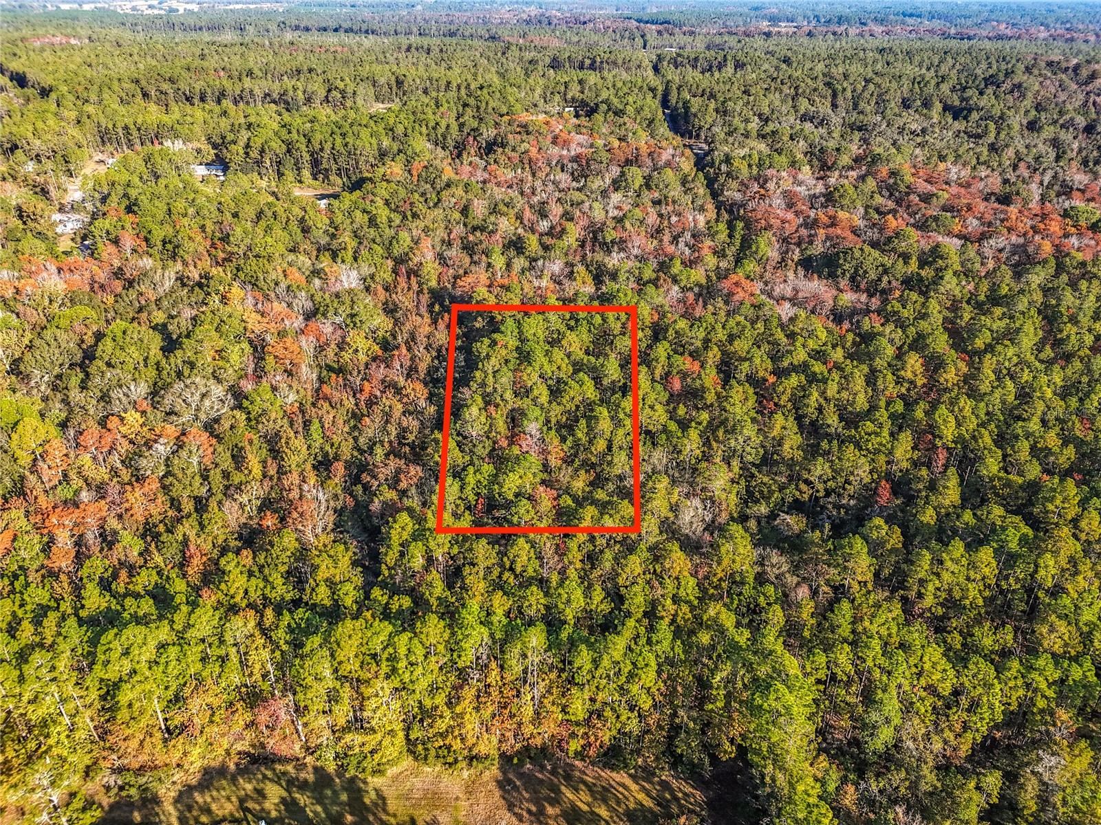 Discover the perfect blend of space, flexibility, and country charm with this 1.13-acre property in Palatka. Zoned Residential Agricultural, this versatile parcel offers endless possibilities—whether you’re looking to build your dream home, place a manufactured home, or create your own private retreat.

With electricity conveniently nearby, you’ll have a head start on bringing your vision to life. Enjoy the peace and privacy of rural living while still being just a short drive from local shopping, dining, and the scenic St. Johns River.

Property Highlights:

* 1.13 acres of usable land
* Residential Agricultural zoning for flexible use
* Ideal for site-built or manufactured homes
* nearby for easy utility access
* Quiet location with plenty of room to spread out

If you’ve been searching for the perfect place to build, invest, or escape the hustle and bustle, this property is full of potential. Don’t miss your opportunity to own a piece of Florida land in a growing area!