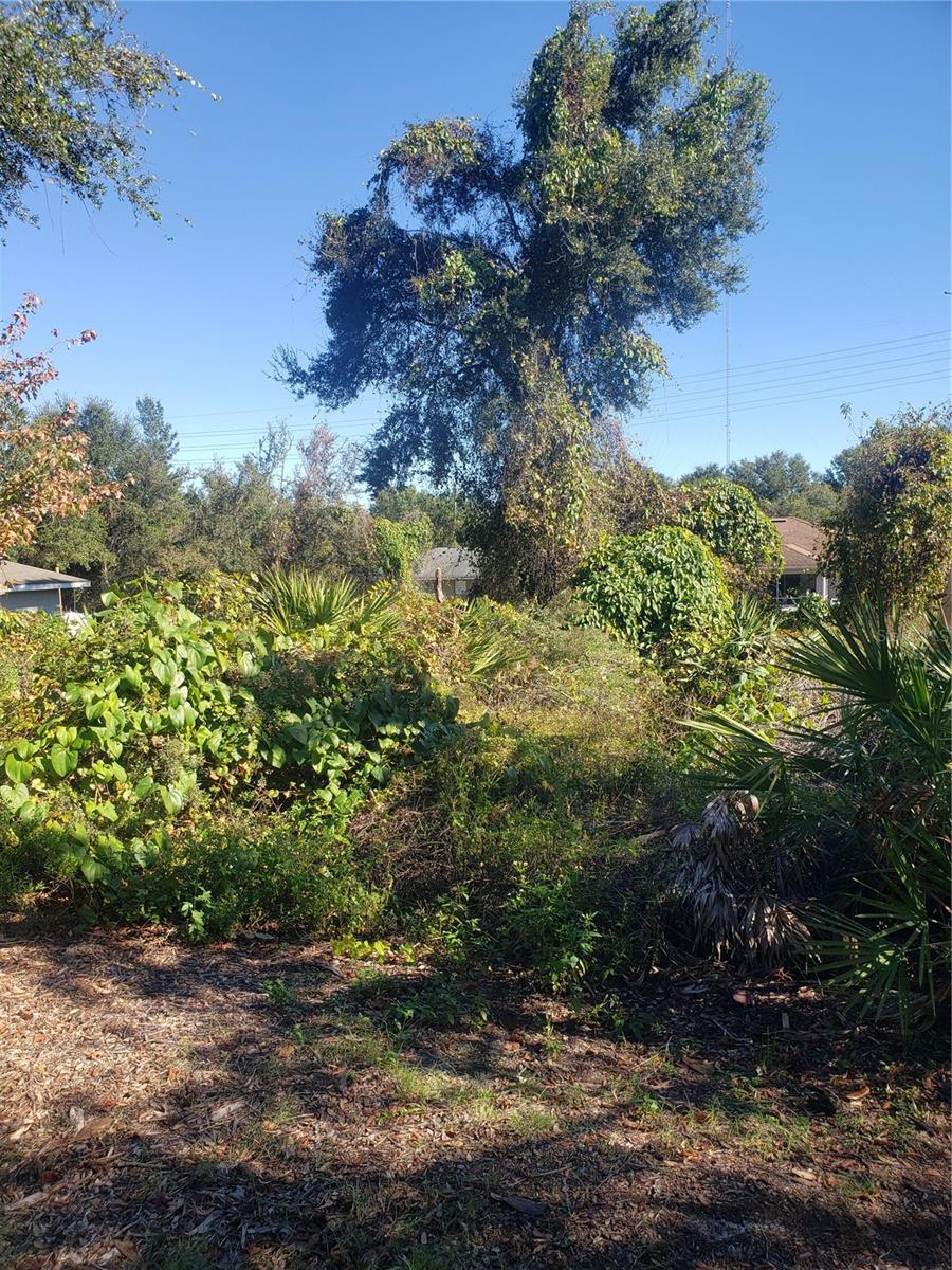 These lots are selling at a fast rate! Close to all the shopping, parks and recreation you could ask for. Orange City is constantly growing and continuing to be a great place to live. At almost a quarter acre you'll have plenty of space to relax and enjoy for years to come.