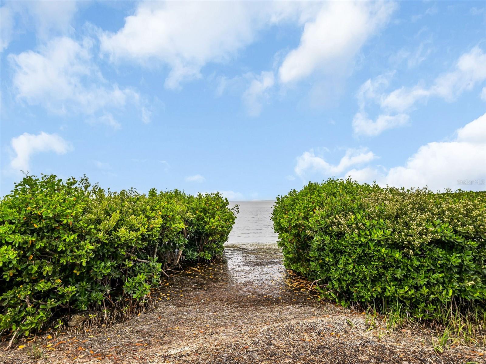 GULF FRONT LAGOON CONDO - Residential