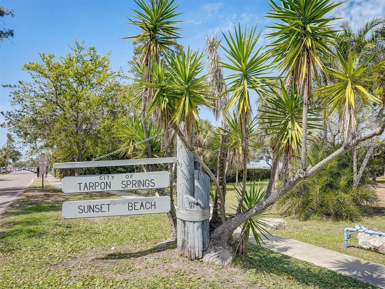 GULF FRONT LAGOON CONDO - Residential