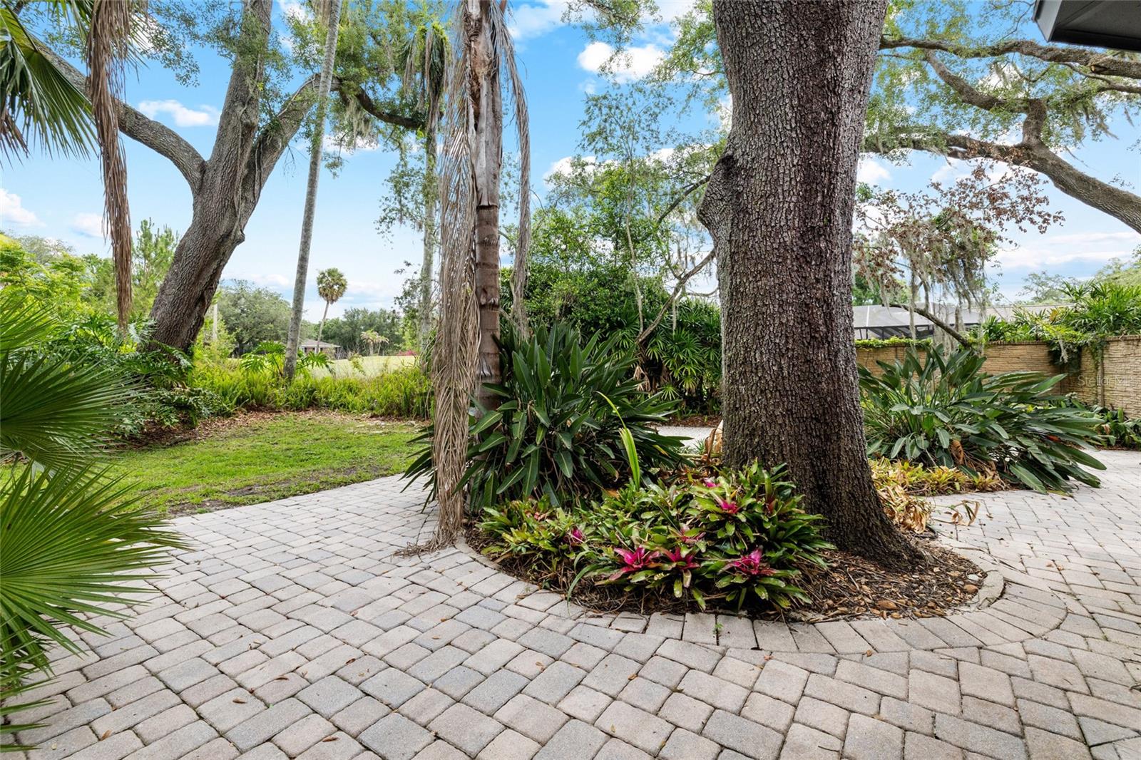 TEMPLE TERRACE ESTATES REP - Residential