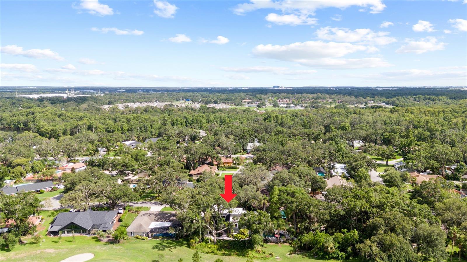 TEMPLE TERRACE ESTATES REP - Residential