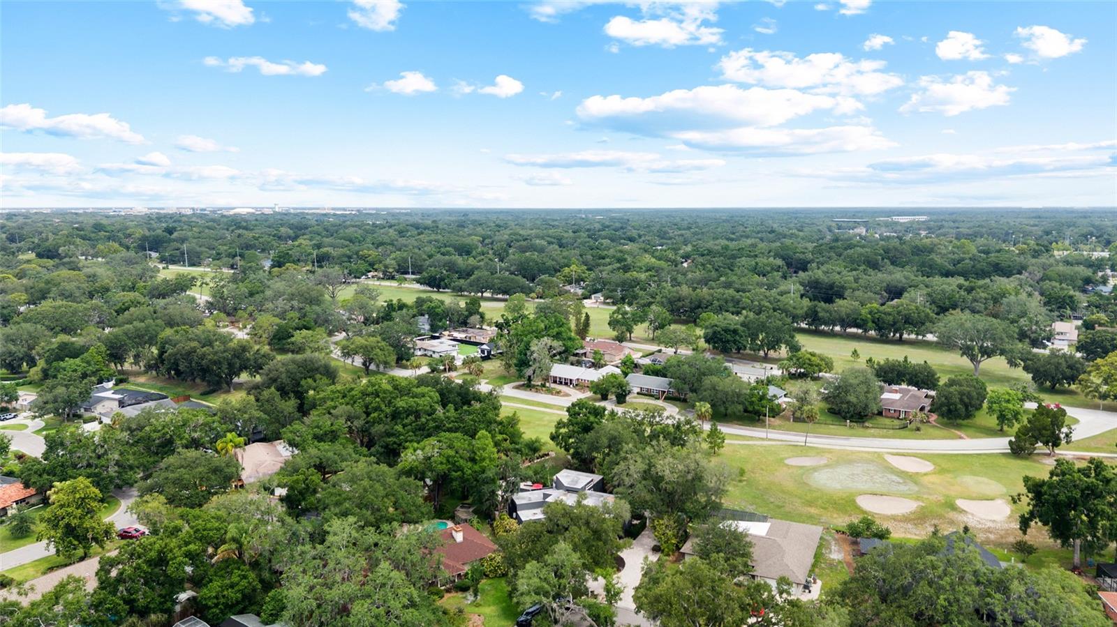 TEMPLE TERRACE ESTATES REP - Residential