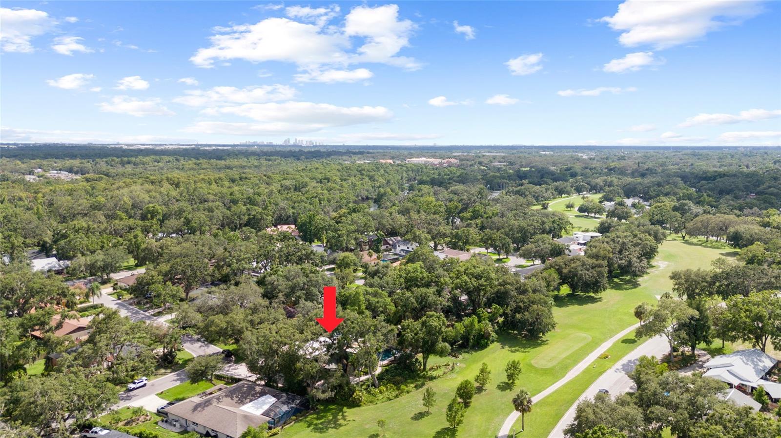 TEMPLE TERRACE ESTATES REP - Residential