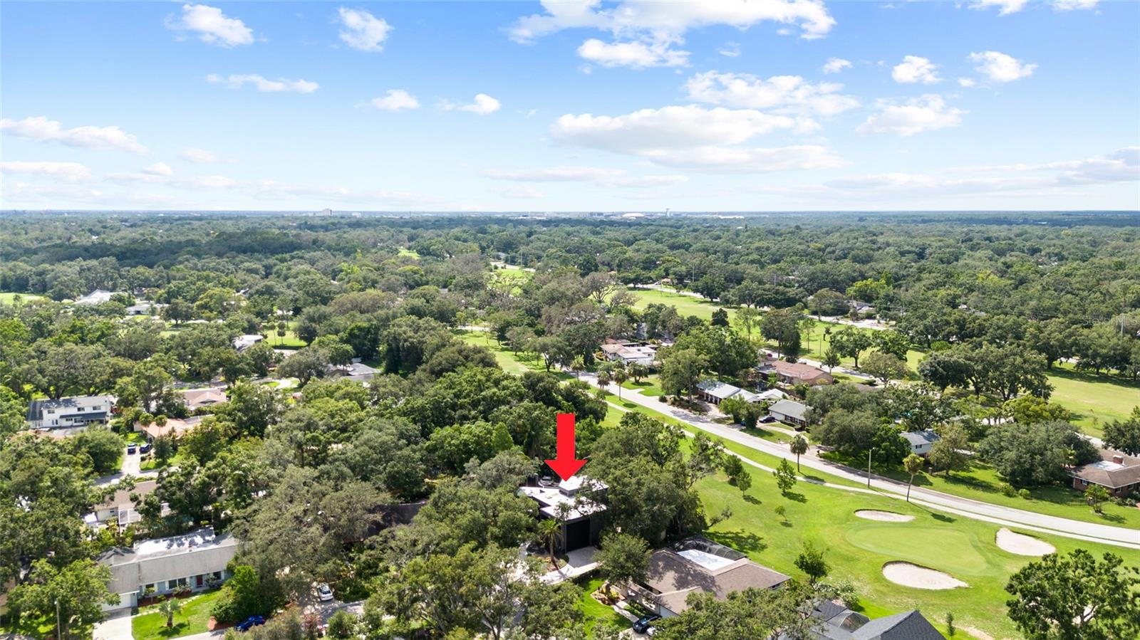 TEMPLE TERRACE ESTATES REP - Residential