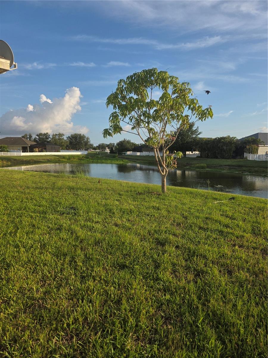 SUGAR MILL LAKES PH II & III - Residential