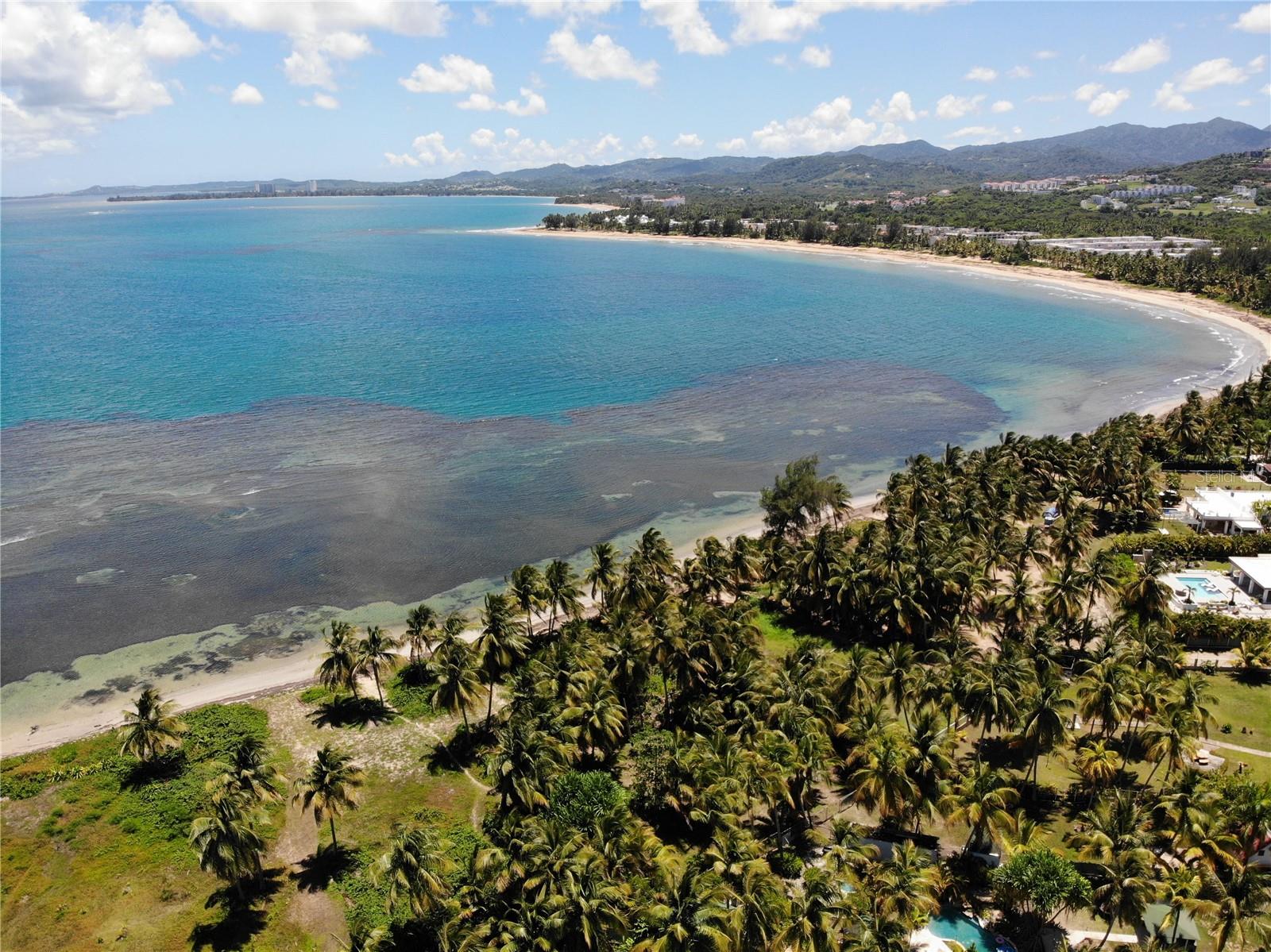 CAMINO PLAYA LAS PICUAS - Land