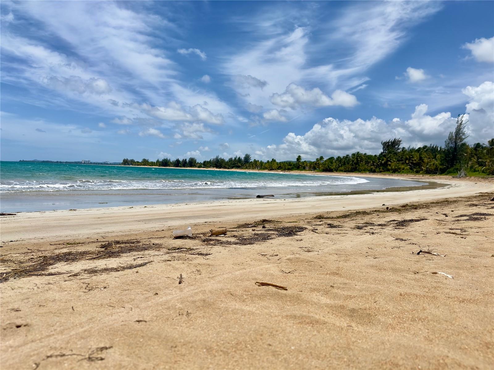 CAMINO PLAYA LAS PICUAS - Land