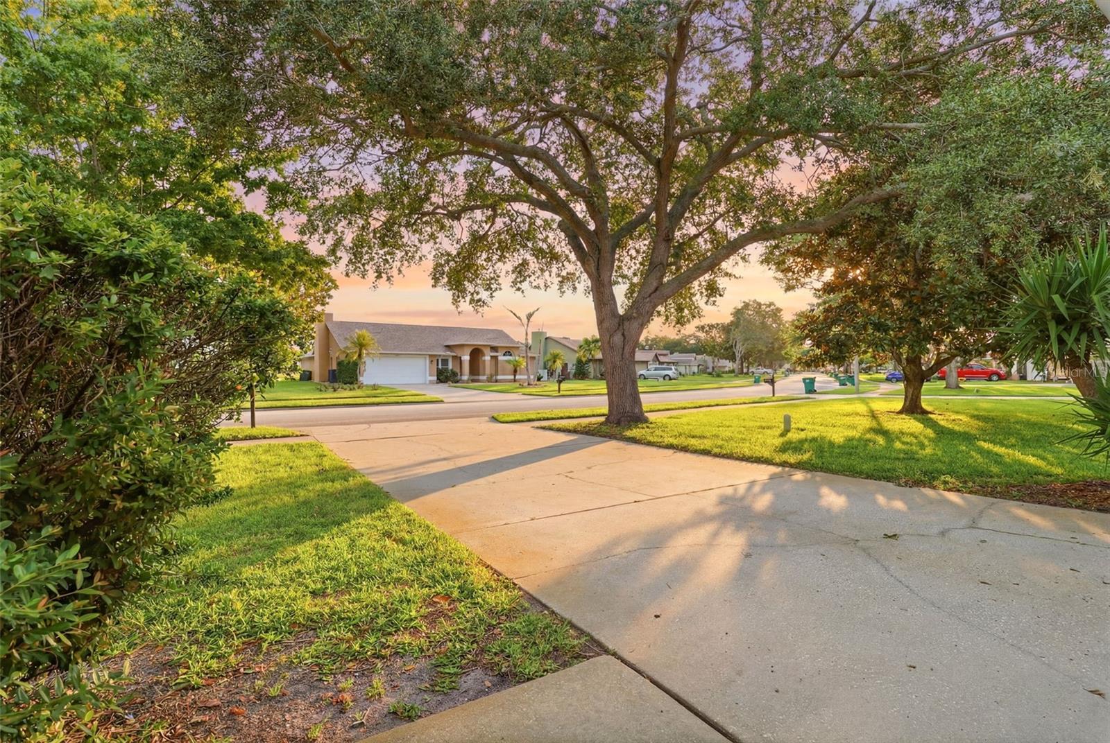 PINEDA CROSSING PH 01 - Residential
