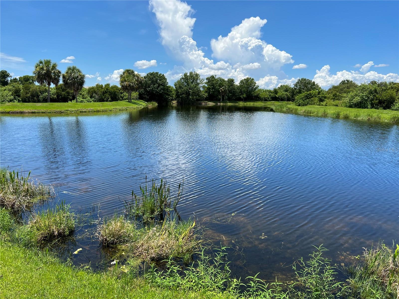 VILLAGES OF BLOOMINGDALE CONDO - Residential Lease
