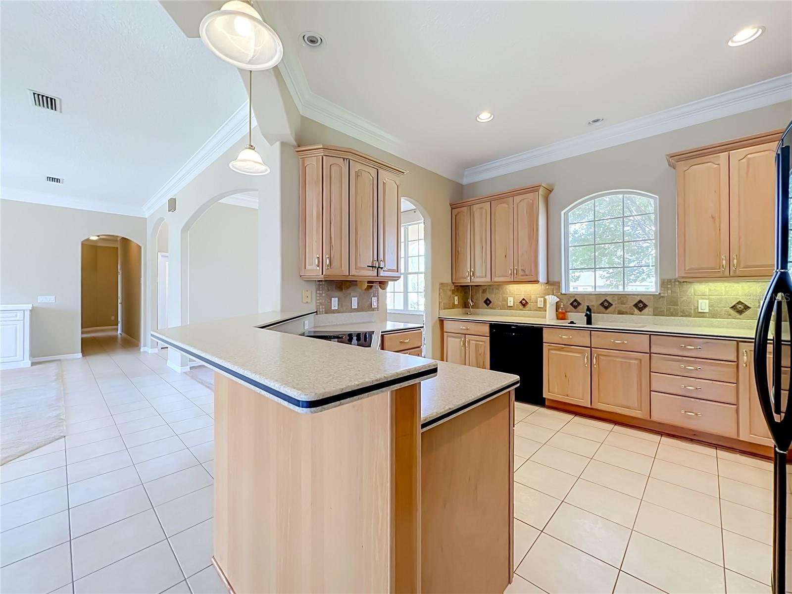 PALM COAST SEC 14 - Residential