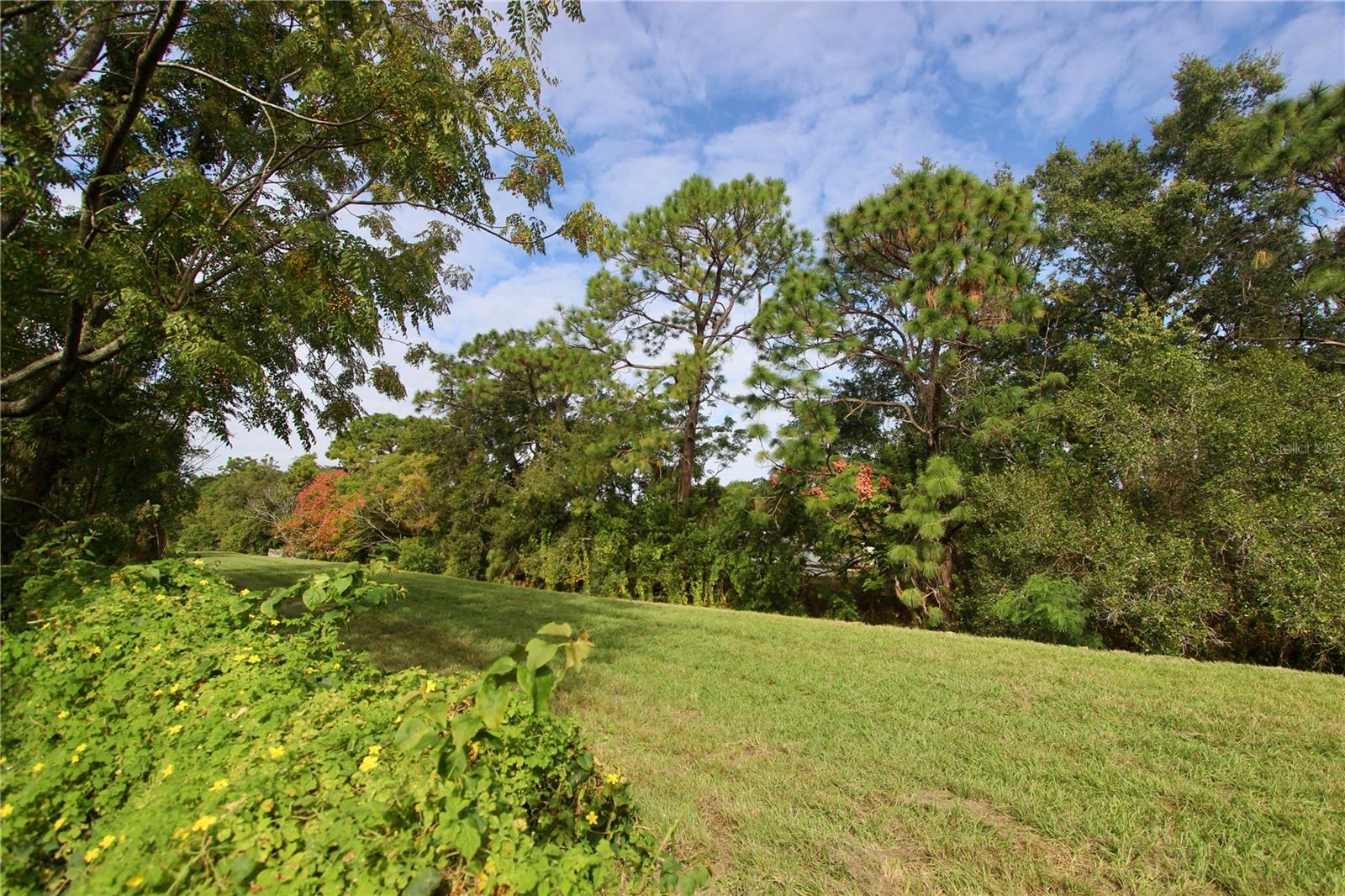 BEL AIRE PINES - Residential