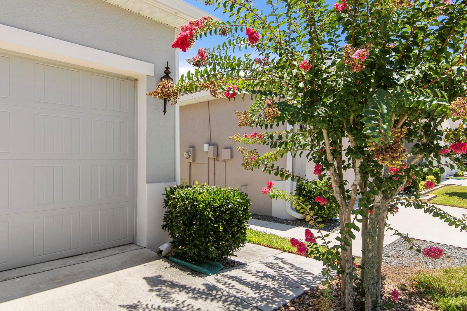 CYPRESS PRESERVE PH 1A - Residential