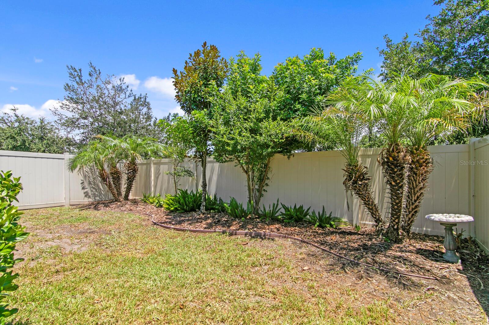 CYPRESS PRESERVE PH 1A - Residential