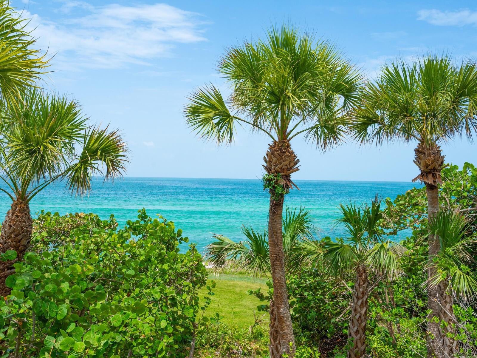 CASEY KEY - Residential