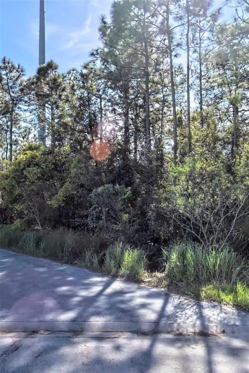 Exceptional land banking opportunity in one of Central Florida's most recognized growth corridors. This approximately 1.23-acre A-2 zoned parcel offers investors the chance to secure a sizeable piece of land just a short distance from International Drive South, with convenient access to SR 417, the area's world-renowned attractions, major employers, shopping, dining, and entertainment. While the property is currently best suited as a long-term investment due to the work that would be required for future development, its location within an expanding area makes it an attractive addition to any investment portfolio. The parcel includes deeded easement access, providing an advantage over many similarly situated properties. Whether you're looking to land bank for future appreciation or acquire acreage in a market with limited available inventory, this property presents a compelling opportunity at an attractive price. Buyers are encouraged to perform their own due diligence regarding future use, zoning, development potential, and access.