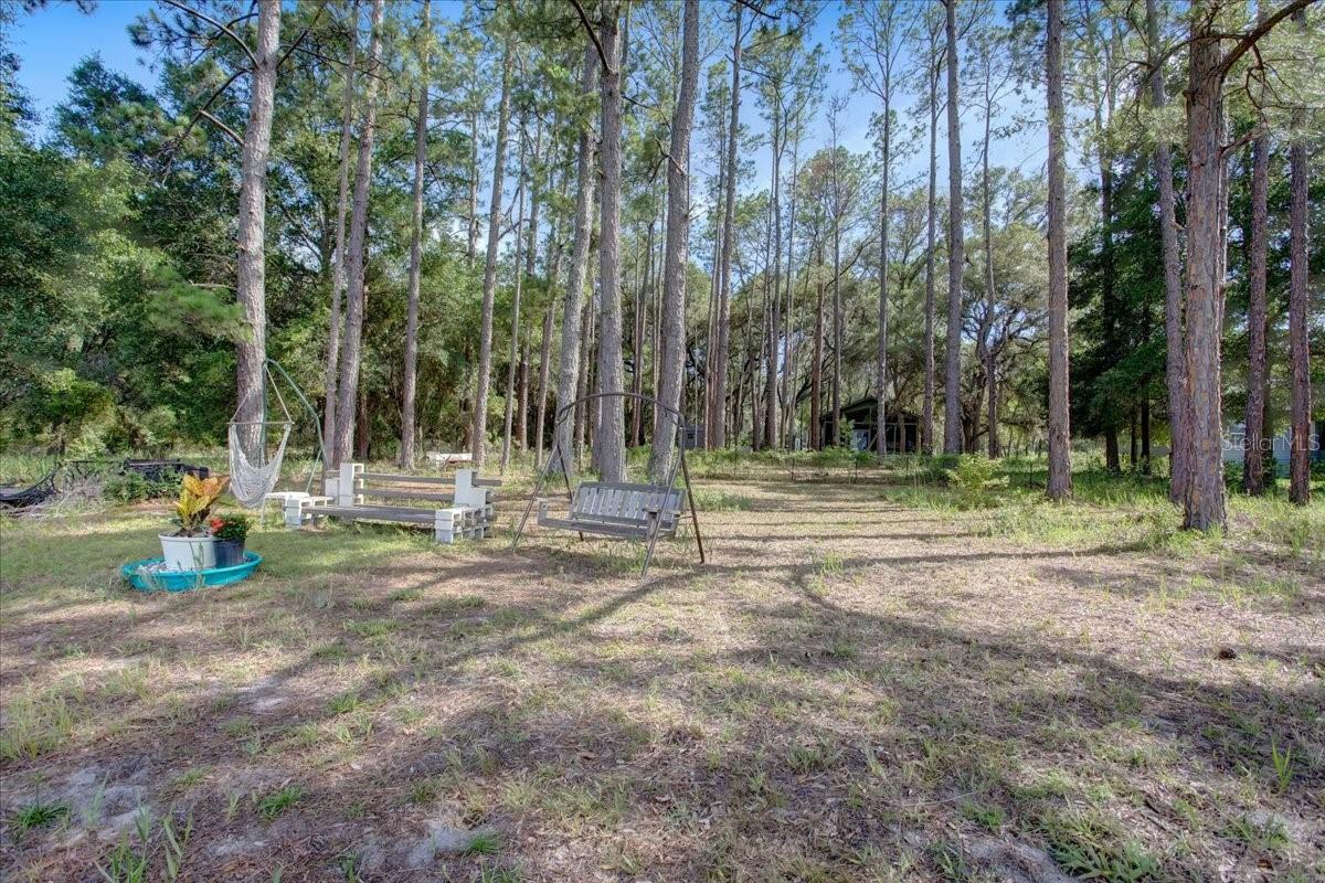 ASHLEY LAKE PLANTATION - Residential