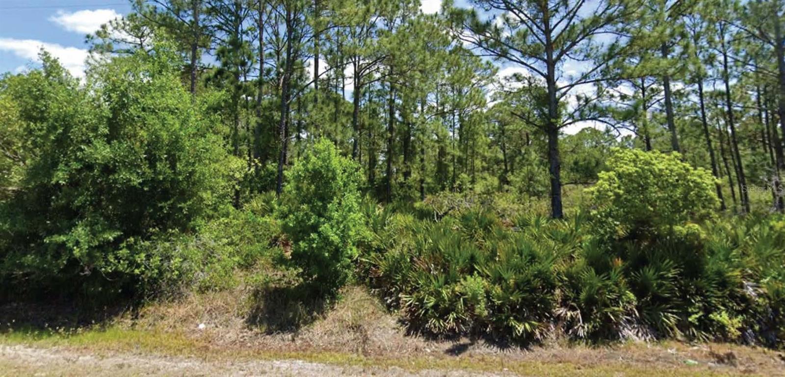 Build your Florida dream home on this oversized 0.67-acre residential lot in the Highlands Park Estates subdivision of Lake Placid. Zoned R-1 for single-family residential use. Enjoy a peaceful setting while remaining just minutes from US-27, shopping, dining, schools, medical facilities, and Lake Placid's beautiful lakes and recreational opportunities. Whether you're ready to build now or invest for the future, this spacious homesite offers excellent potential.All information is deemed reliable but should be independently verified.